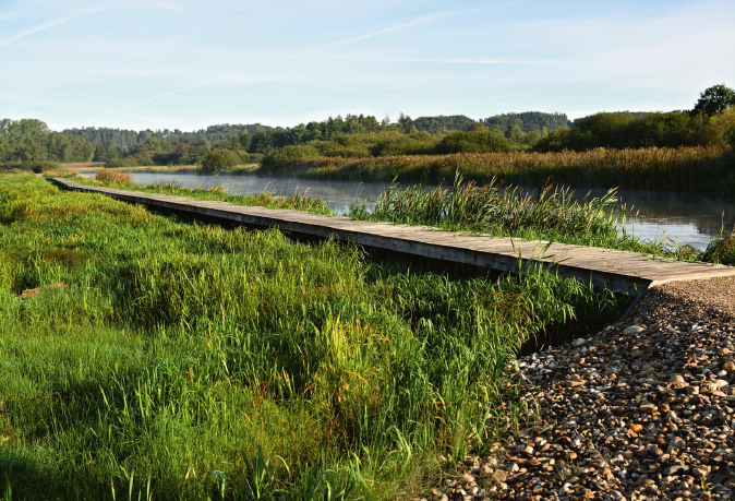 Givtig-groen-gren-i-gul-forretning_2